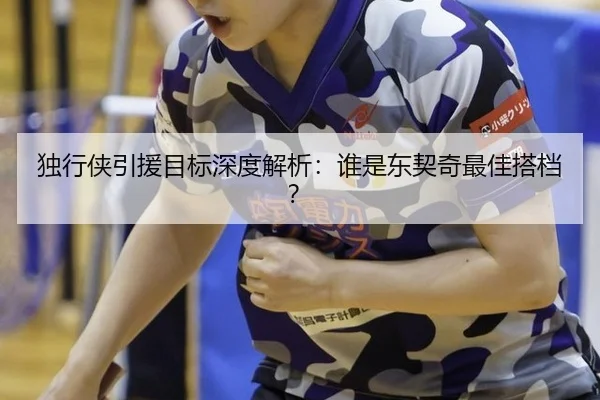 独行侠引援目标深度解析：谁是东契奇最佳搭档？